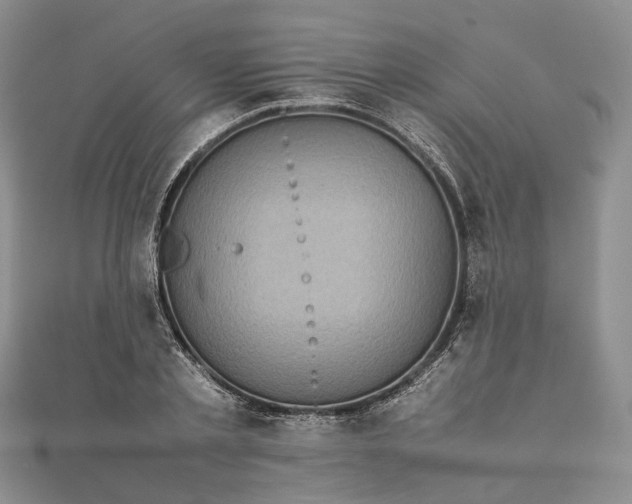 X0000111920789200908101220