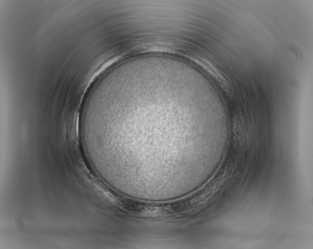 X0000111920790200908101220