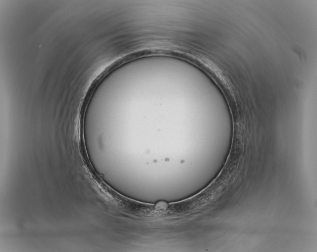 X0000111920791200908101220