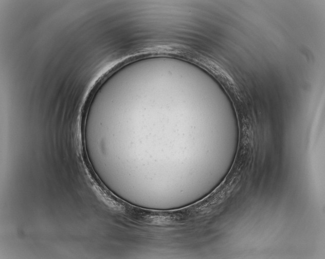 X0000111920792200908101220