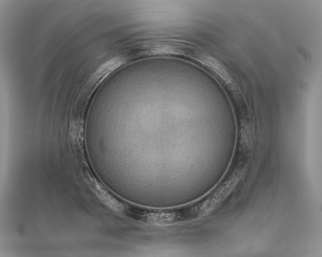 X0000111920793200908101220