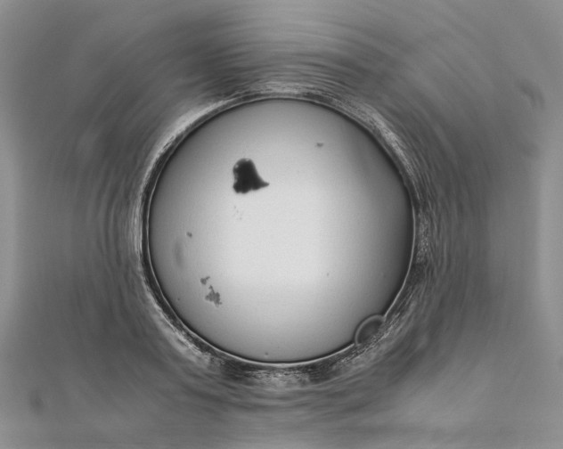 X0000111920795200908101220