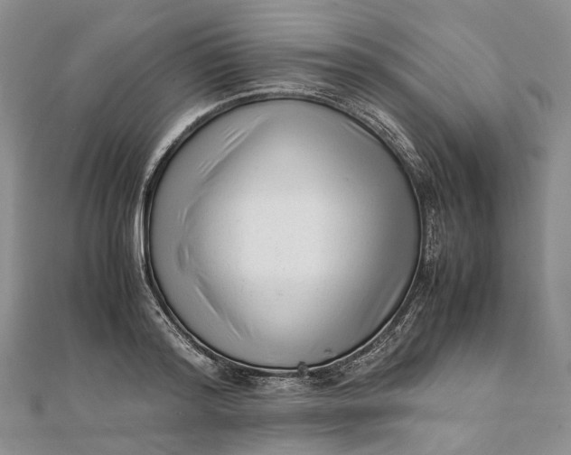 X0000111920796200908101220