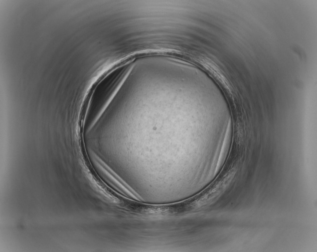 X0000111920797200908101220