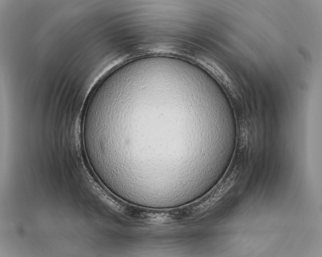 X0000111920798200908101220