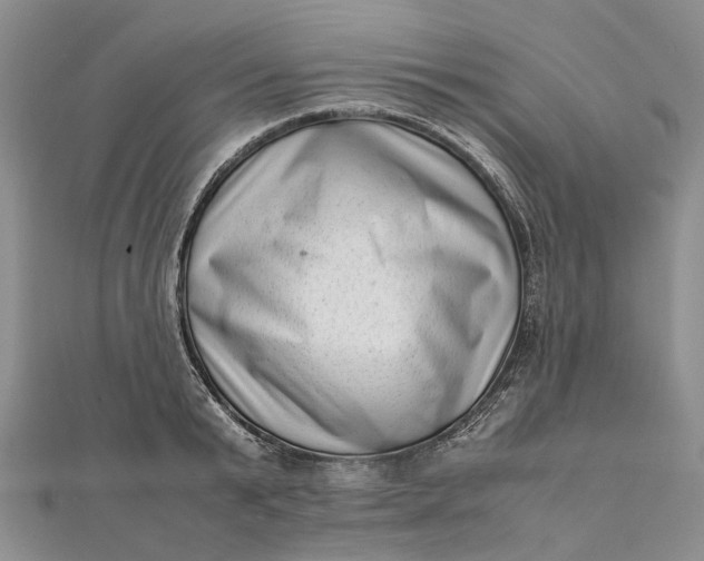 X0000111920799200908101220