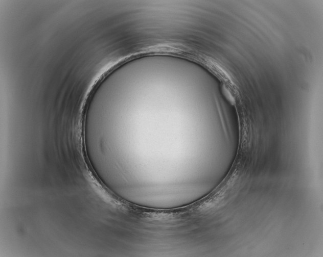 X0000111920800200908101220