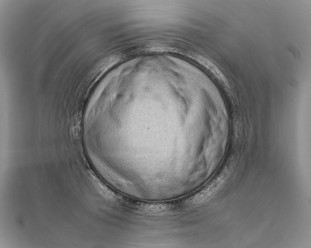 X0000111920801200908101220