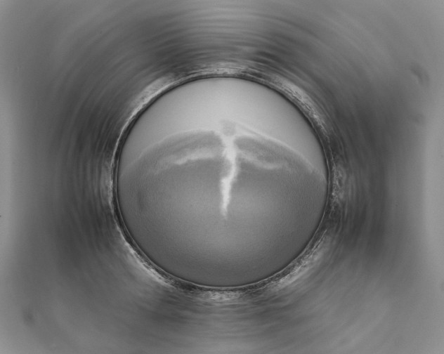 X0000111920802200908101220