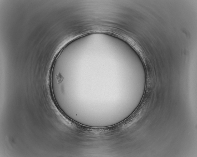 X0000111920803200908101220