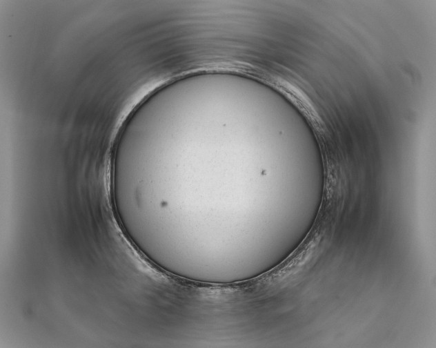 X0000111920804200908101220