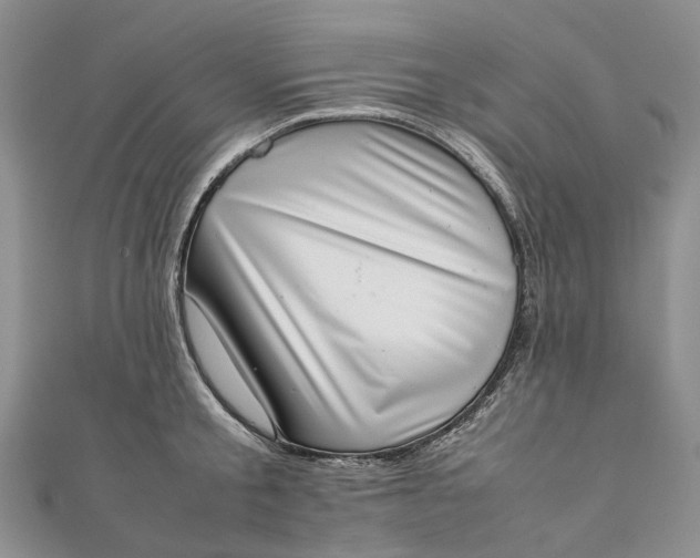 X0000111920805200908101220