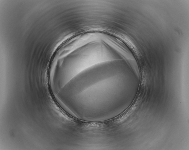 X0000111920806200908101220