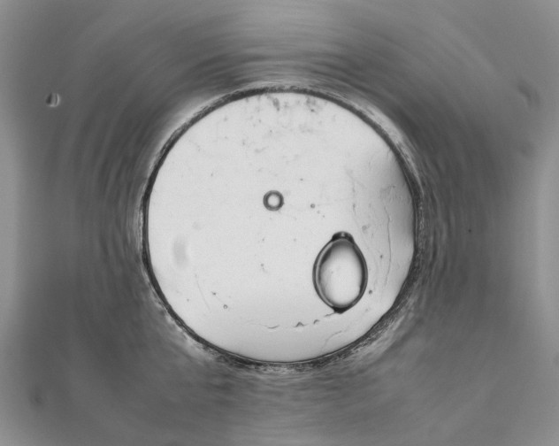 X0000111920807200908101220