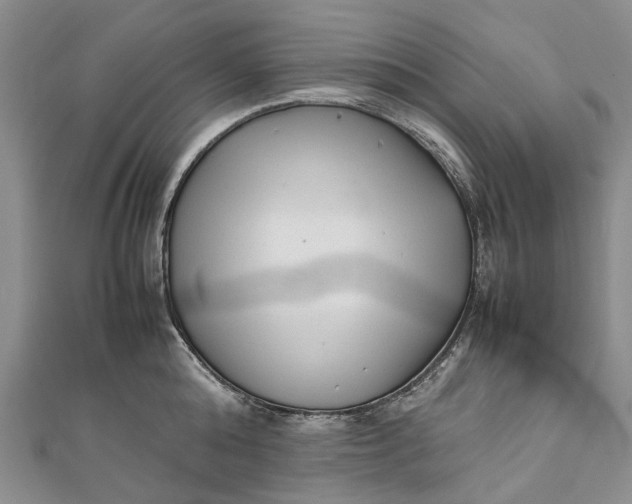 X0000111920808200908101220