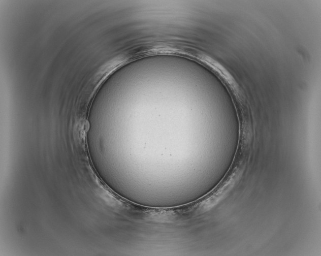 X0000111920809200908101220