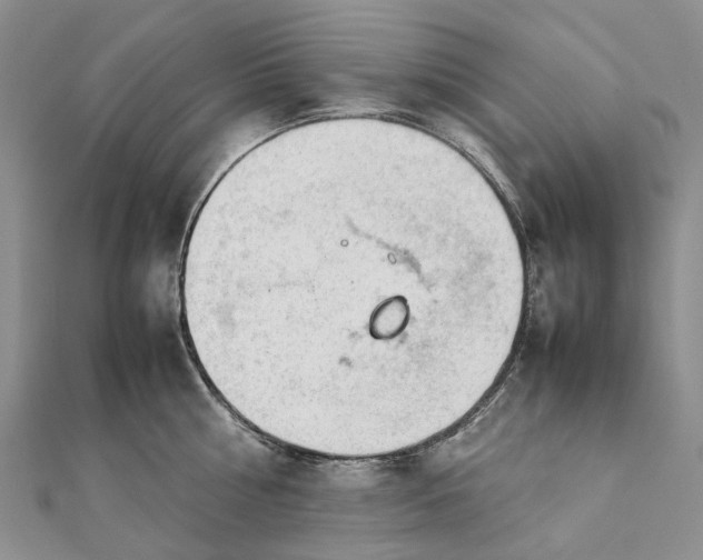 X0000111920810200908101220