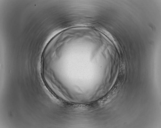 X0000111920811200908101220