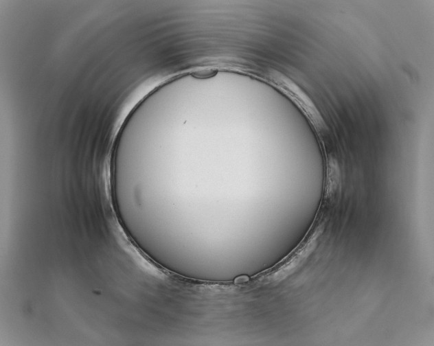 X0000111920812200908101220