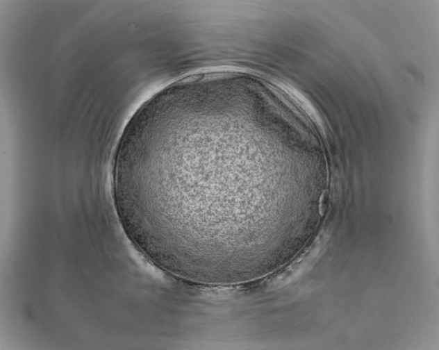 X0000111920813200908101220