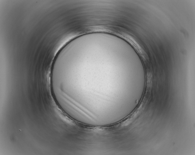 X0000111920814200908101220