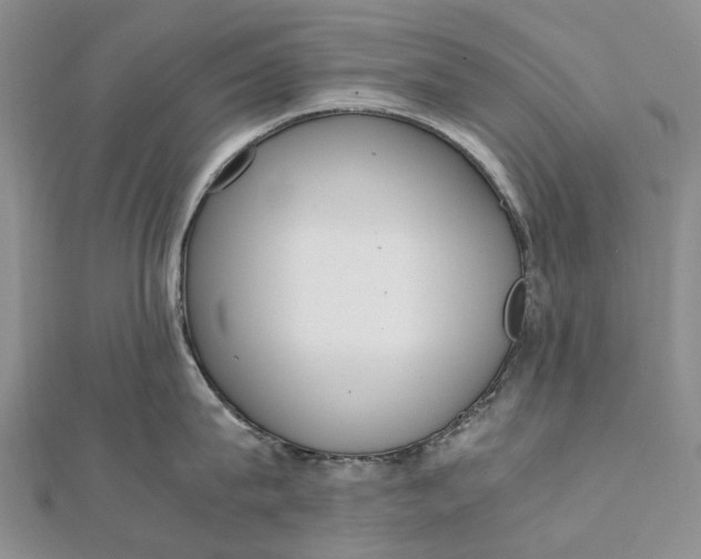 X0000111920815200908101220