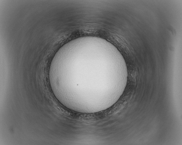 X0000111920817200908101219