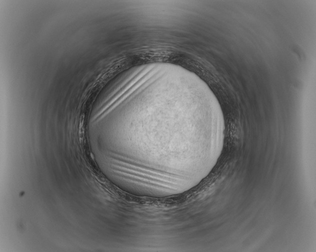 X0000111920818200908101219