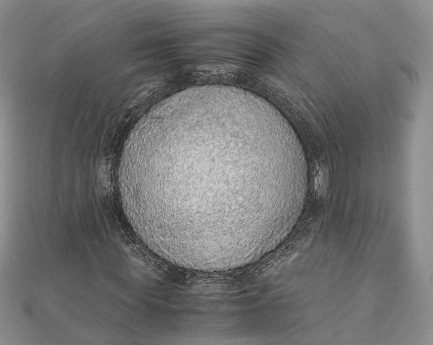 X0000111920819200908101219