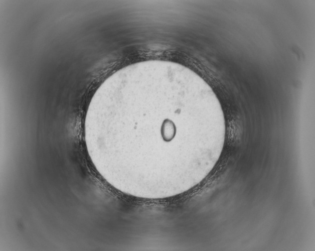 X0000111920820200908101219