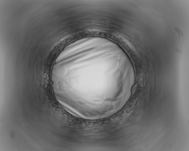 X0000111920821200908101219