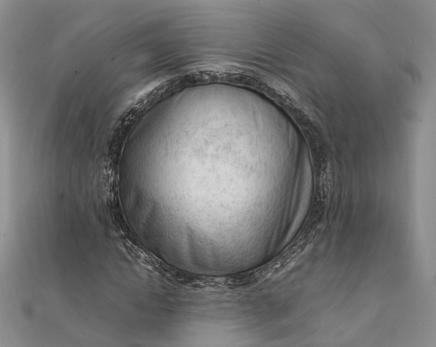 X0000111920822200908101219