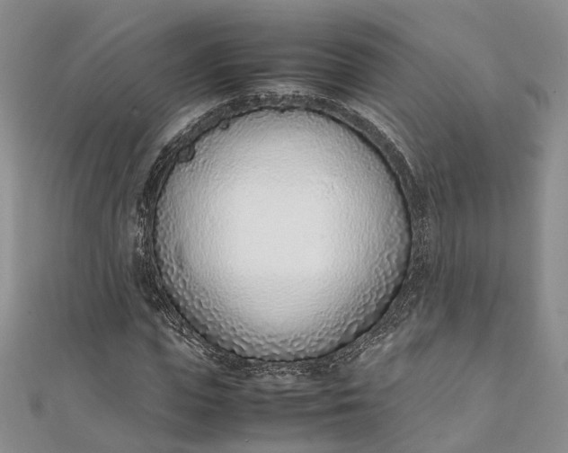 X0000111920823200908101219