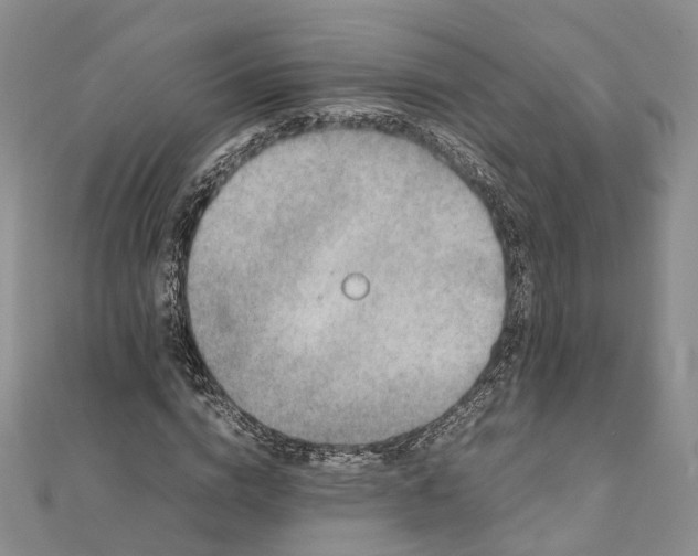 X0000111920824200908101219