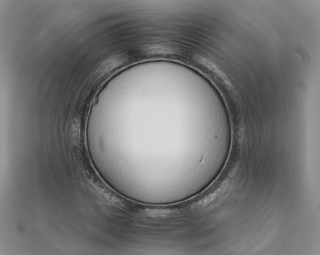 X0000111920825200908101219