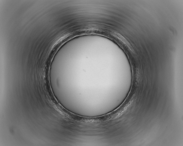 X0000111920826200908101219