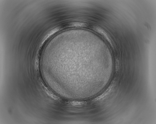 X0000111920827200908101219