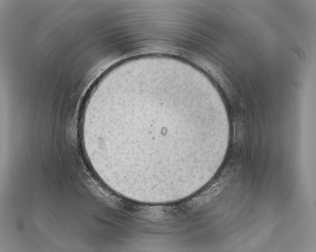 X0000111920828200908101219