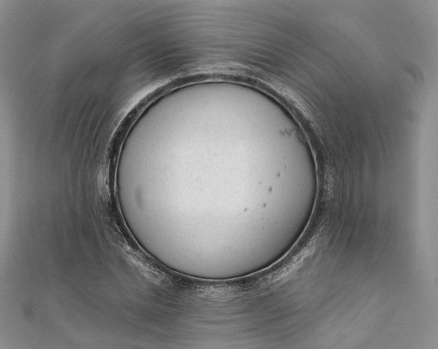 X0000111920830200908101219