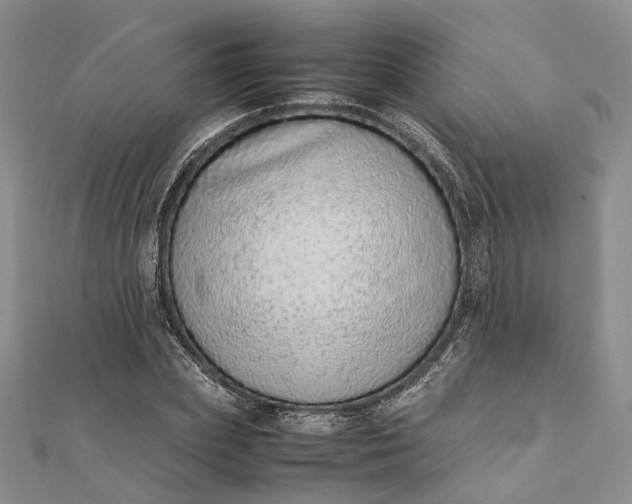 X0000111920831200908101219