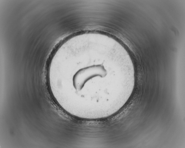 X0000111920832200908101219