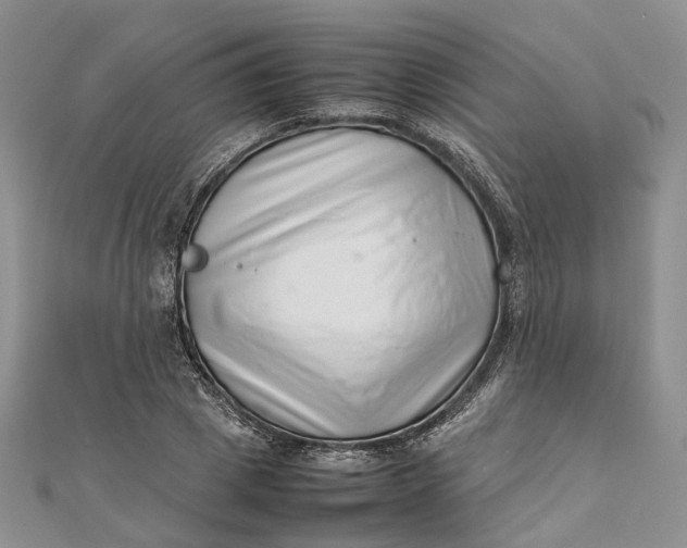 X0000111920833200908101219