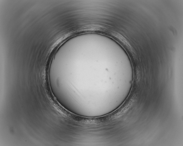 X0000111920834200908101219