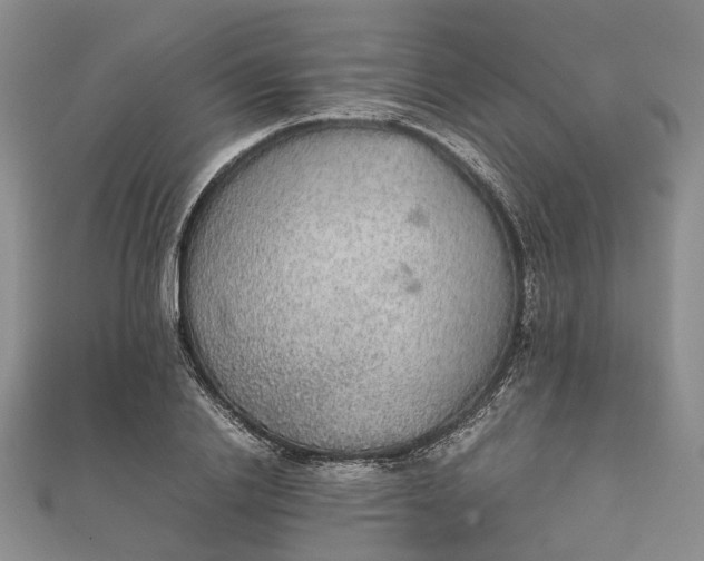 X0000111920838200908101219