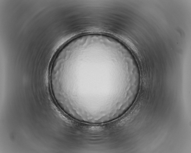 X0000111920839200908101219