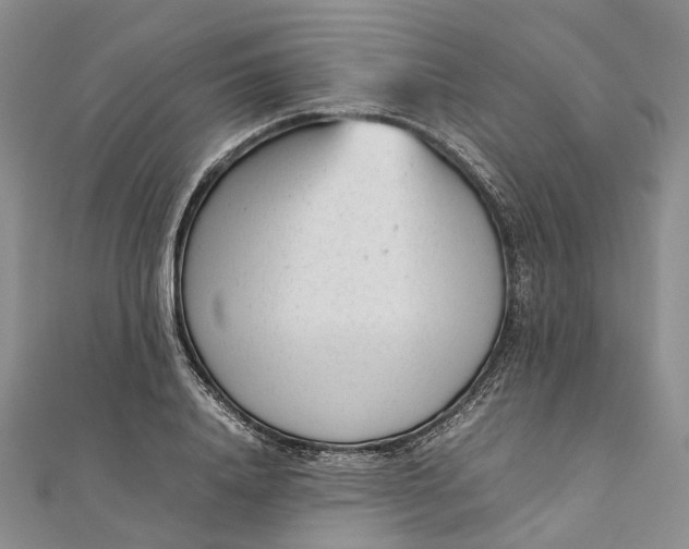 X0000111920840200908101219