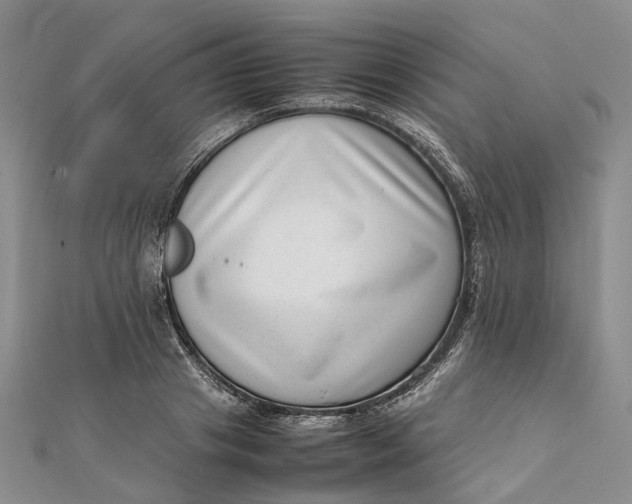 X0000111920841200908101219