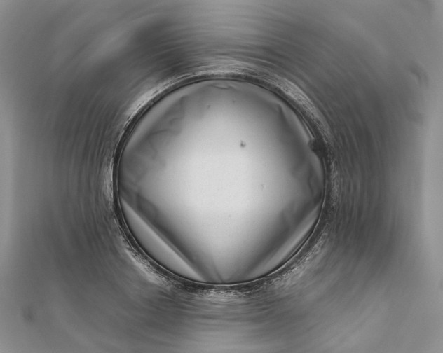 X0000111920842200908101219