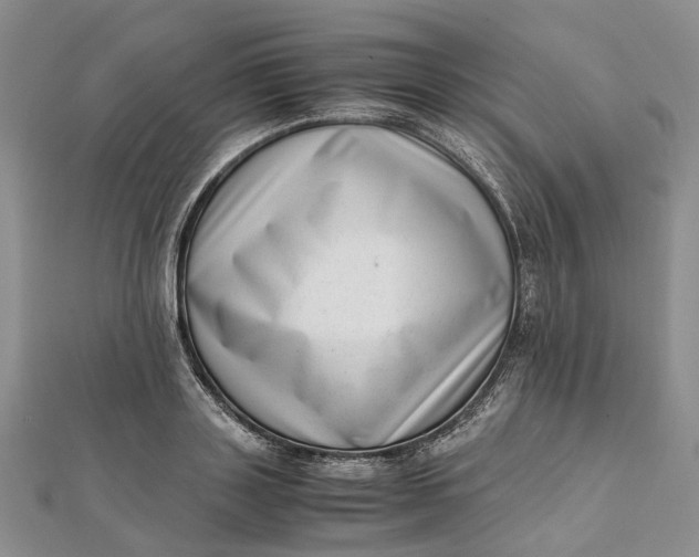 X0000111920843200908101219