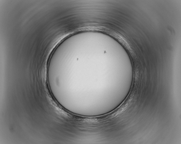 X0000111920844200908101219